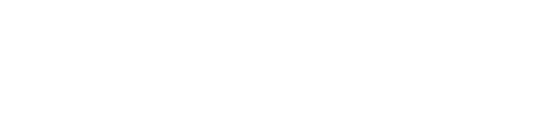 CDL-BOT white Logo